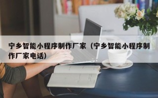 玉田宁乡智能小程序制作厂家（宁乡智能小程序制作厂家电话）